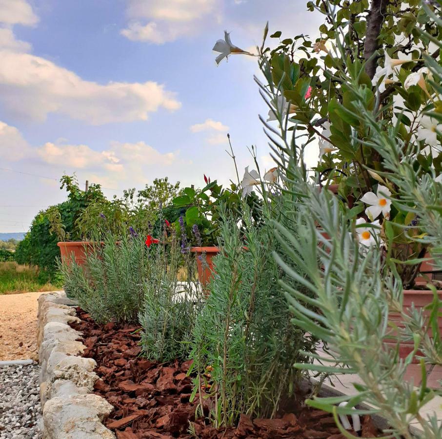 Le Vigne Di Annalisa Sweet Relax Rooms In Unesco Prosecco D.O.C.G. Farra di Soligo Dış mekan fotoğraf